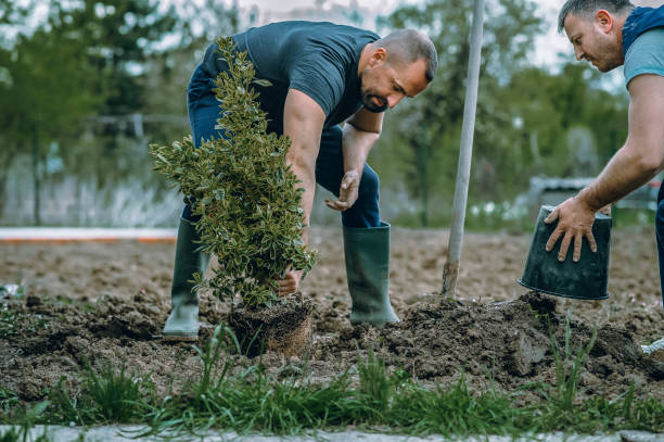 Soil Testing and Treatment in Oakland, FL